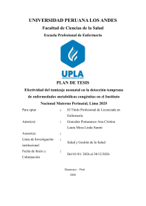 PLAN DE TESIS ORIGINAL (2)