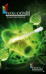Album bacteriologico
