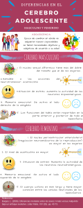 Diferencias cerebro adolescente masculino y femenino