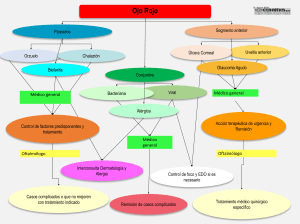 Flujograma Ojo Rojo: Diagn&oacute;stico y Tratamiento