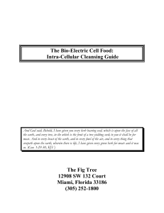 Intra-Cellular Cleansing Guide: Bio-Electric Cell Food
