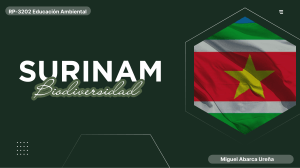 Surinam Biodiversidad - Educaci&oacute;n Ambiental RP-3202