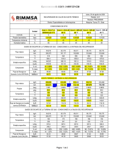 Thermal Oil Heat Recuperator Performance Report - RIMMSA Energy Solutions