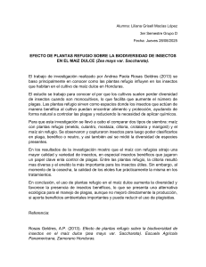 Efecto de plantas refugio en biodiversidad de insectos en ma&iacute;z dulce