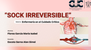 Shock Irreversible: Fisiopatolog&iacute;a y Cuidados de Enfermer&iacute;a