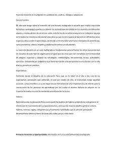 Inserci&oacute;n docente en multigrado: colaboraci&oacute;n y adaptaci&oacute;n en educaci&oacute;n f&iacute;sica