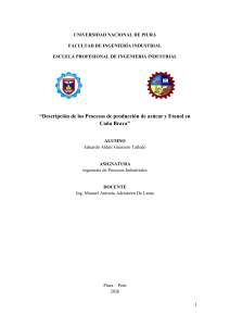 Informe Ca&ntilde;a Brava - IPI