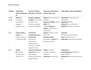 Tabla de Citocinas: Funciones y Efectos