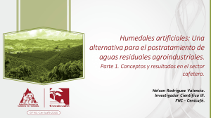 Humedales artificiales para tratamiento de aguas residuales agroindustriales