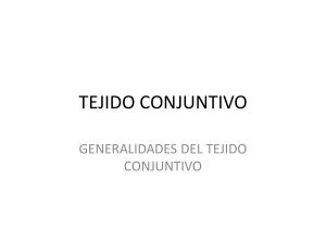 Connective Tissue: Generalities and Classification