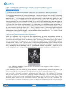Historia de la Microbiolog&iacute;a: Hooke, van Leeuwenhoek, Cohn