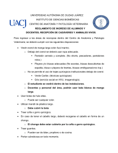 Reglamento de Ingreso y Recepci&oacute;n de Cad&aacute;veres/Animales Vivos - UACJ