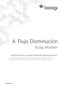 Flujo Disminuci&oacute;n en Bizagi Modeler: Identificaci&oacute;n de Controles
