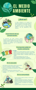 El Medio Ambiente: Definici&oacute;n, Importancia y Cuidado
