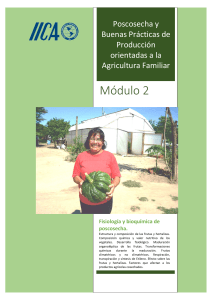 M&oacute;dulo 2: Fisiolog&iacute;a y bioqu&iacute;mica de poscosecha para agricultura familiar