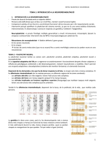Introducci&oacute;n a la Neurorehabilitaci&oacute;n: Neuroplasticidad y Bases