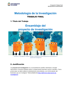 Propuesta Trabajo Final: Metodolog&iacute;a de la Investigaci&oacute;n