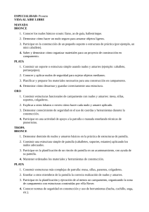 Gu&iacute;a de Especialidad Pionero - Vida al Aire Libre