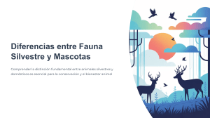 Diferencias entre Fauna Silvestre y Mascotas