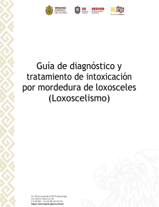 Gu&iacute;a de diagn&oacute;stico y tratamiento de loxoscelismo