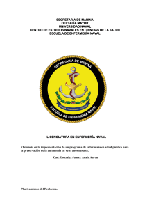 Eficiencia de programa de enfermer&iacute;a en salud p&uacute;blica para veteranos navales