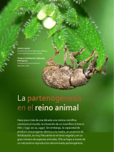 La partenog&eacute;nesis en el reino animal: Tipos y Evoluci&oacute;n