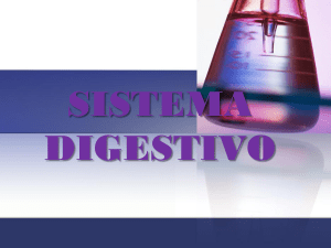 APARATO DIGESTIVO