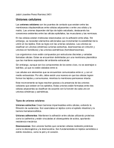 Uniones Celulares: Tipos y Funciones en Biolog&iacute;a