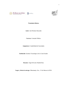 Postulados B&aacute;sicos de la Contabilidad de Sociedades