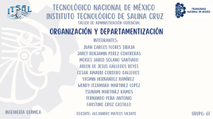 Organizaci&oacute;n y Departamentalizaci&oacute;n - Informe de Taller