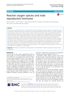 Reactive Oxygen Species and Male Reproductive Hormones Review