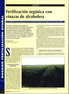 Fertilizaci&oacute;n org&aacute;nica con vinazas de alcoholera