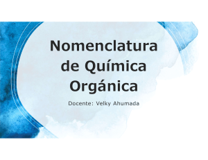 NOMENCLATURA QUIMICA ORGANICA