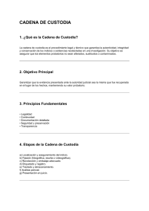 Cadena de Custodia