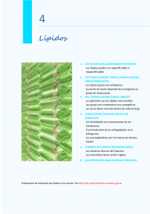 Tema 4: L&iacute;pidos - Biolog&iacute;a 2&ordm; Bachillerato