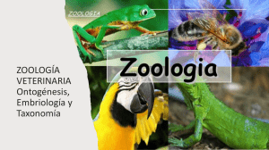 Zoolog&iacute;a Veterinaria: Ontogenia, Embriolog&iacute;a y Taxonom&iacute;a