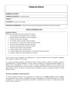 Trabajo de refuerzo: Sistema Reproductor Humano