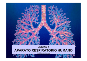 Unidad 4: Aparato Respiratorio Humano - Jos&eacute; Clement Serrano