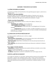 Anatom&iacute;a y Fisiolog&iacute;a de las Plantas - Preguntas y Respuestas