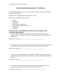 Taller de Neurofisiolog&iacute;a Aplicada a la Fisioterapia