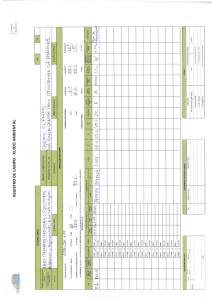 Formul&aacute;rio de Registro de Campo de Ru&iacute;do Ambiental