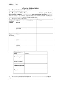 archivo 196