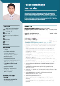 Curriculum Vitae de Felipe Hern&aacute;ndez - Ingeniero Industrial