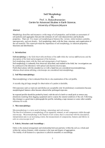 Soil Morphology: A Comprehensive Guide