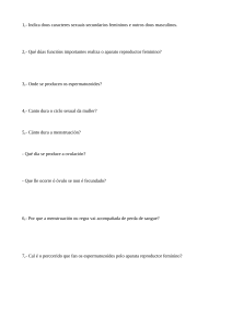 Perguntas sobre reprodu&ccedil;&atilde;o humana - Ficha de biologia