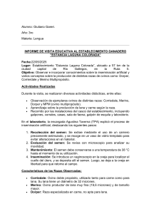 Reporte de Visita Educativa a Estancia Ganadera: Inseminaci&oacute;n Artificial y Razas Ovinas