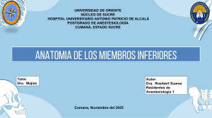 Anatomia de miembros inferiores