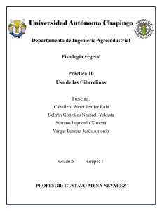 Pr&aacute;ctica 10: Uso de Giberelinas en Fisiolog&iacute;a Vegetal
