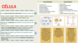 C&eacute;lula: Unidad Fundamental de la Vida