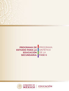 Programa Sintetico Fase 6